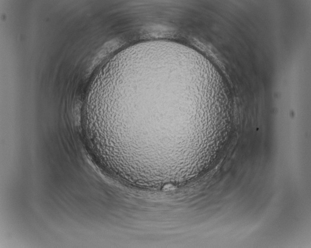 X0000067340010200604131737