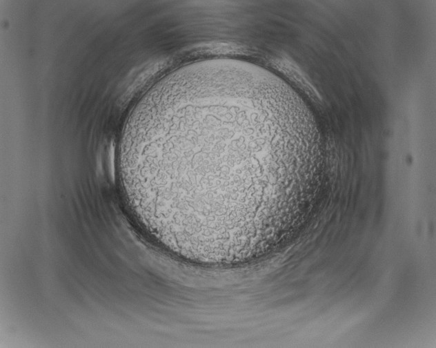 X0000067340014200604131737