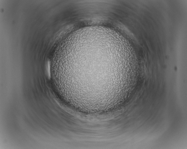 X0000067340022200604131737