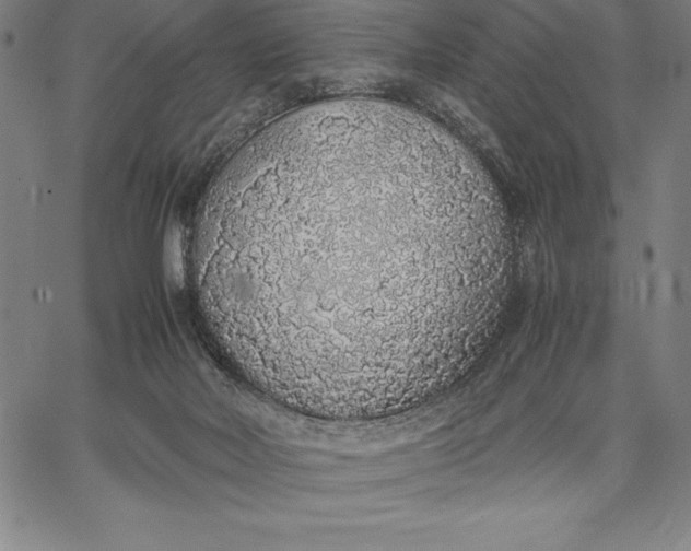 X0000067340026200604131737