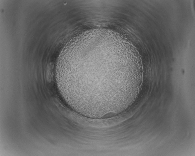 X0000067340030200604131737
