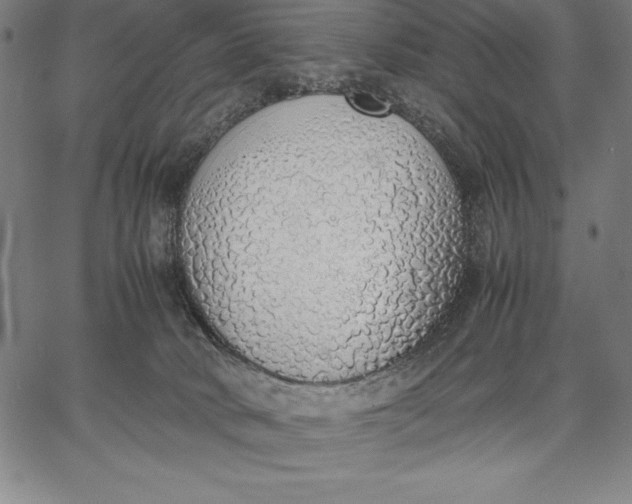 X0000067340034200604131737
