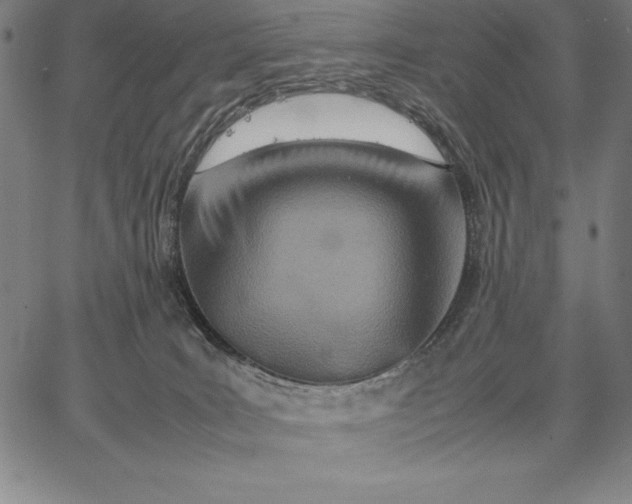 X0000067340035200604131737