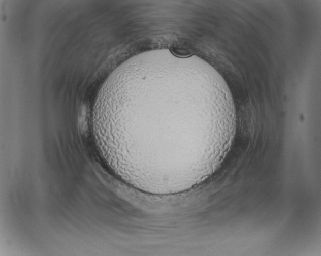 X0000067340038200604131737
