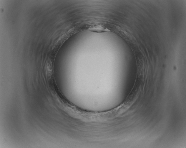 X0000067340040200604131737