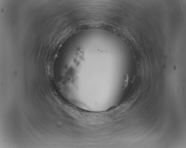 X0000067340044200604131736