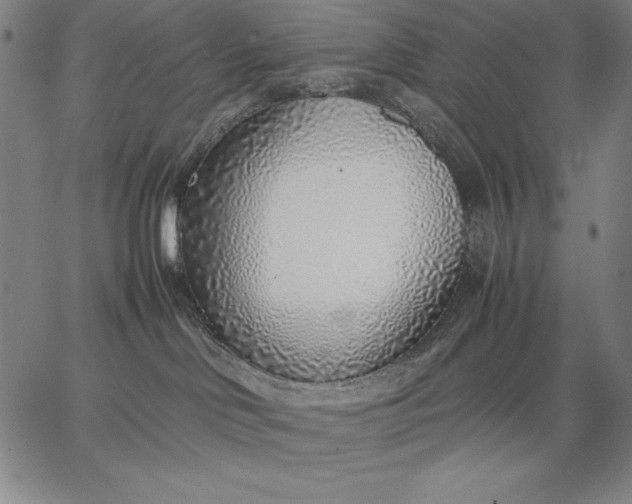 X0000067340046200604131736