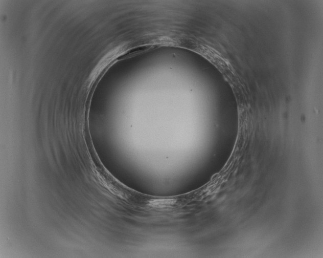 X0000067340051200604131736