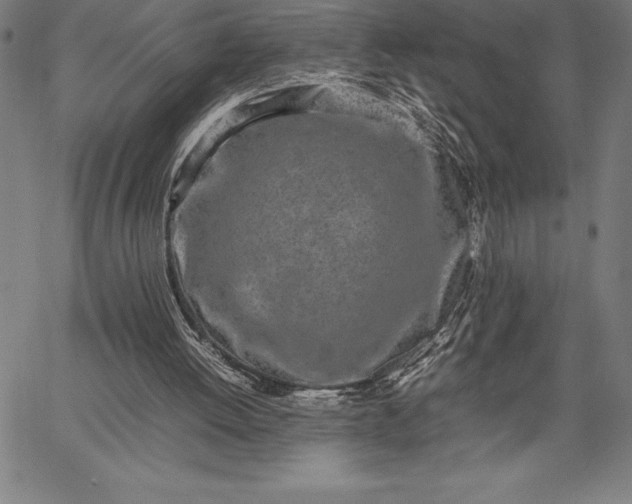 X0000067340052200604131736