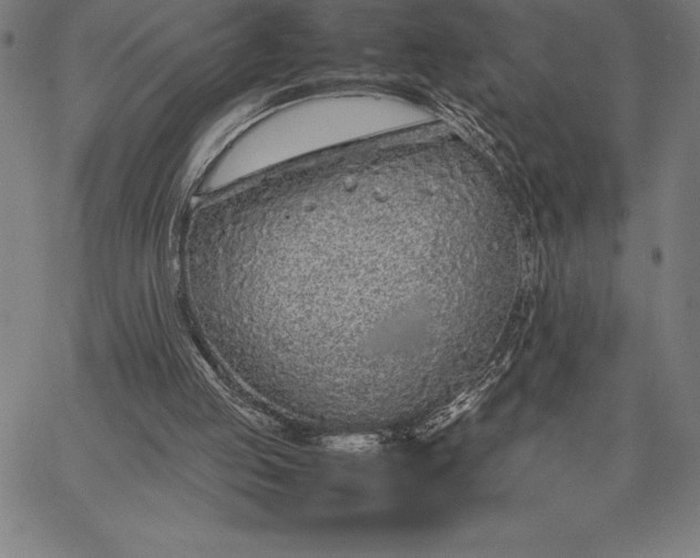 X0000067340053200604131736
