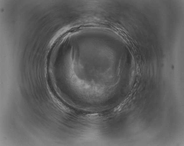 X0000067340054200604131736