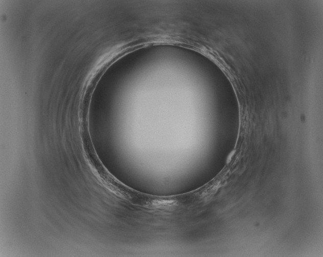 X0000067340055200604131736