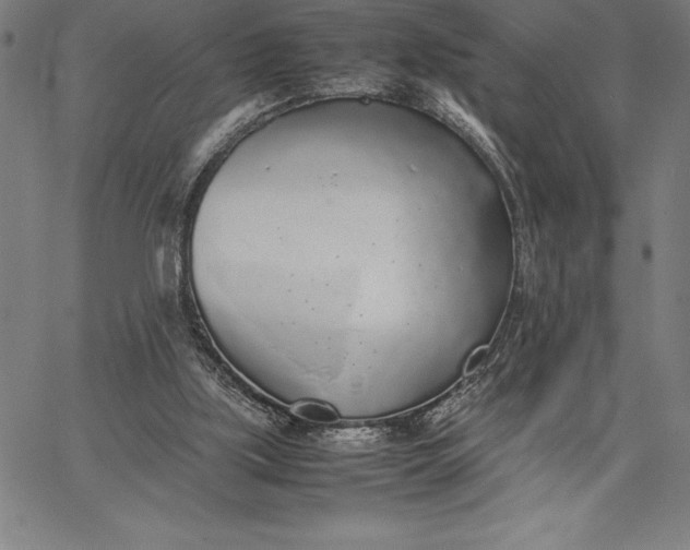 X0000067340059200604131736