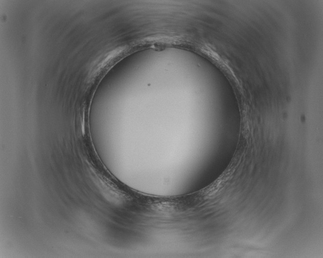 X0000067340062200604131736