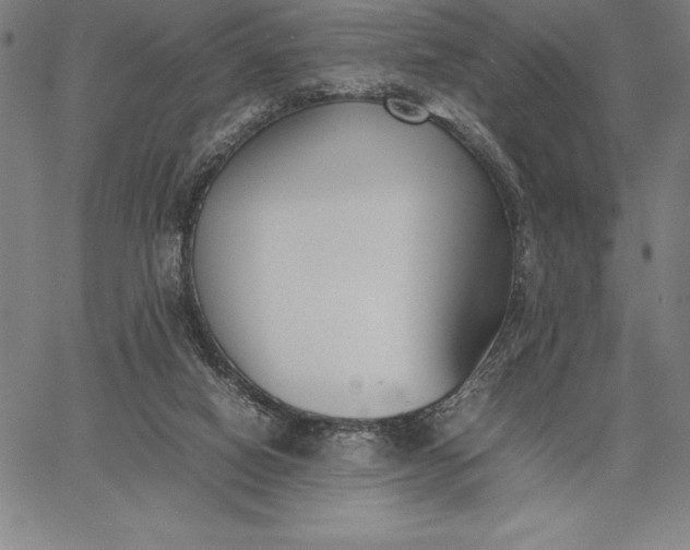 X0000067340066200604131736