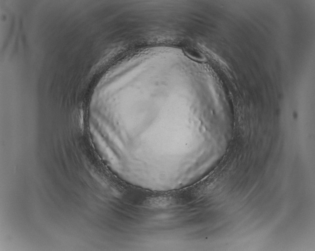 X0000067340067200604131736
