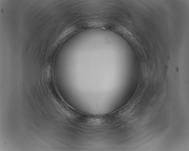 X0000067340071200604131736