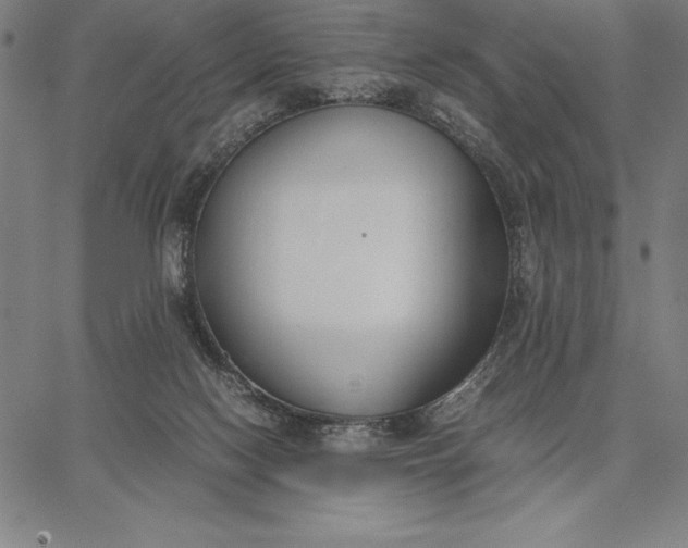 X0000067340074200604131736