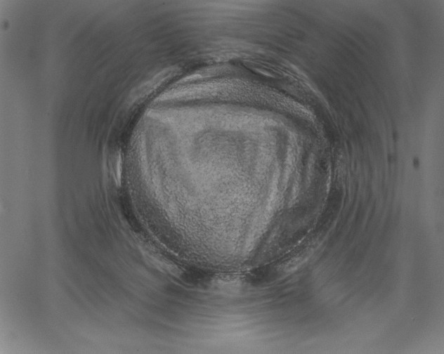 X0000067340076200604131736