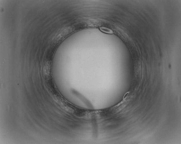 X0000067340078200604131736