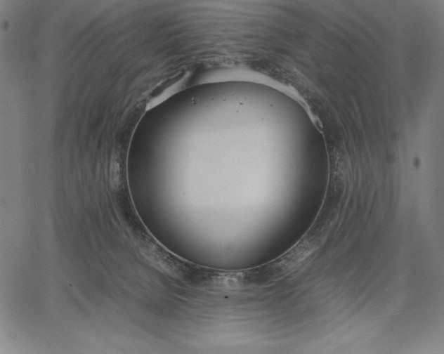 X0000067340080200604131736
