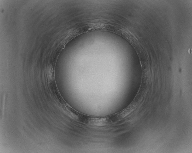 X0000067340081200604131736
