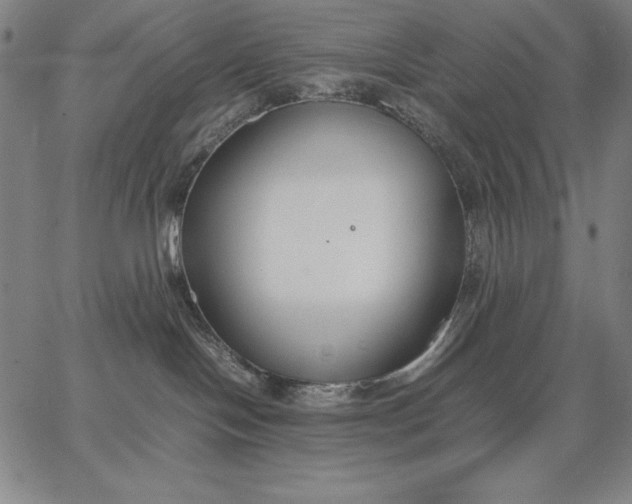 X0000067340094200604131736