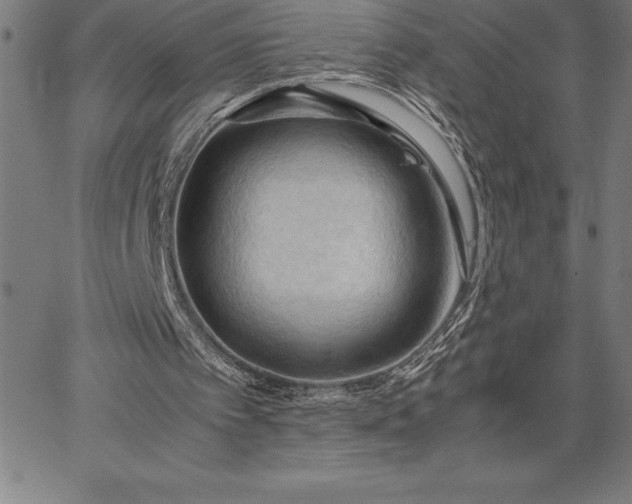 X0000067340097200604131736
