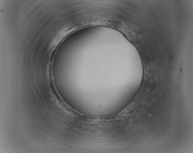 X0000067340098200604131736