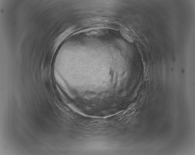 X0000067340099200604131736