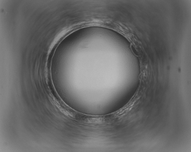 X0000067340102200604131736