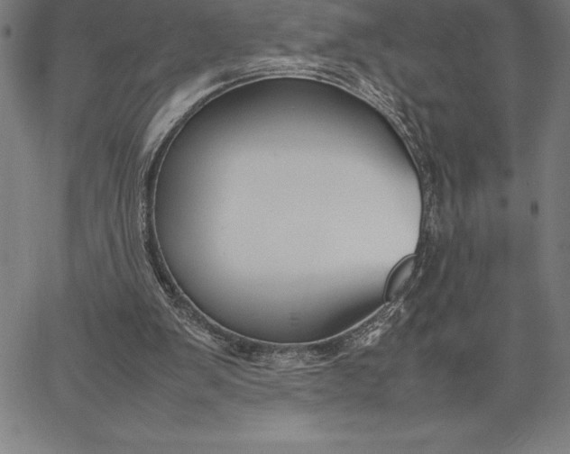 X0000067340103200604131736
