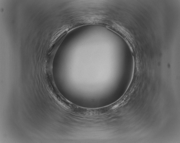 X0000067340105200604131735