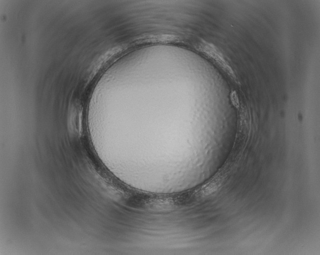 X0000067340110200604131735