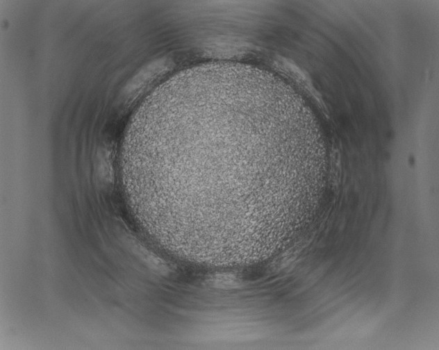 X0000067340114200604131735