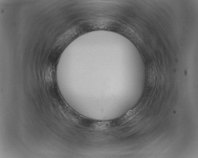 X0000067340126200604131735