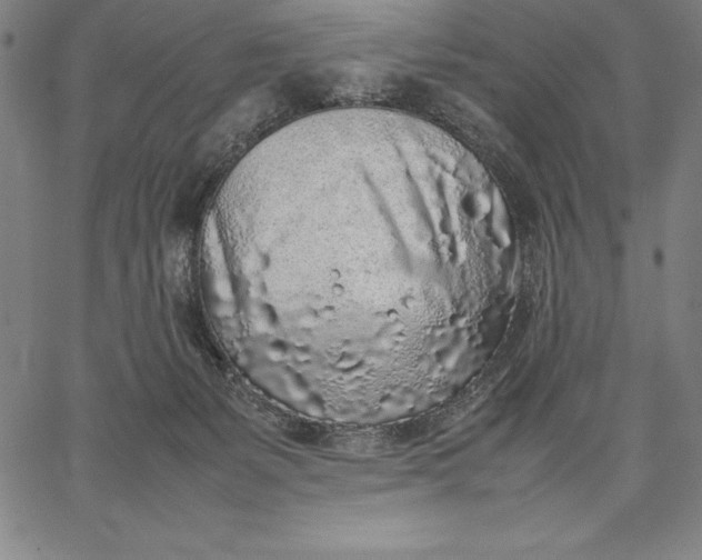 X0000067340127200604131735