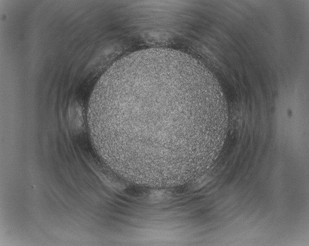 X0000067340130200604131735