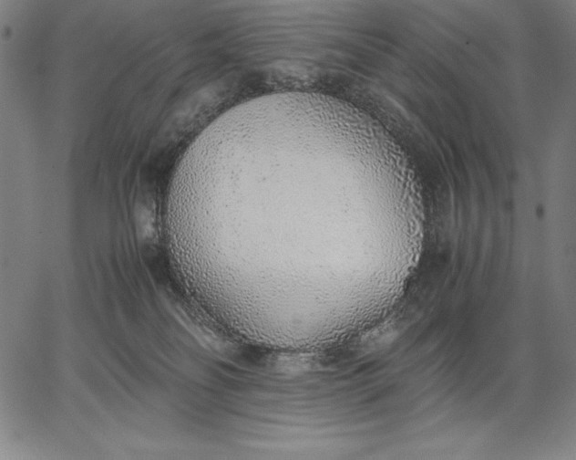 X0000067340134200604131735