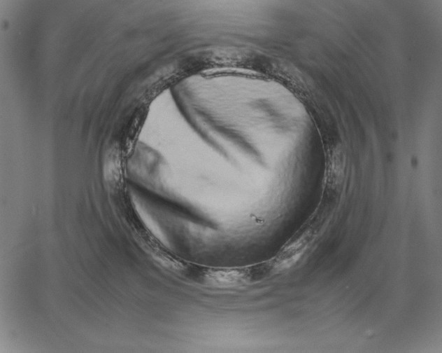 X0000067340137200604131735