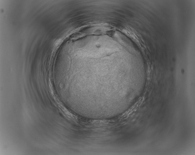 X0000067340145200604131734