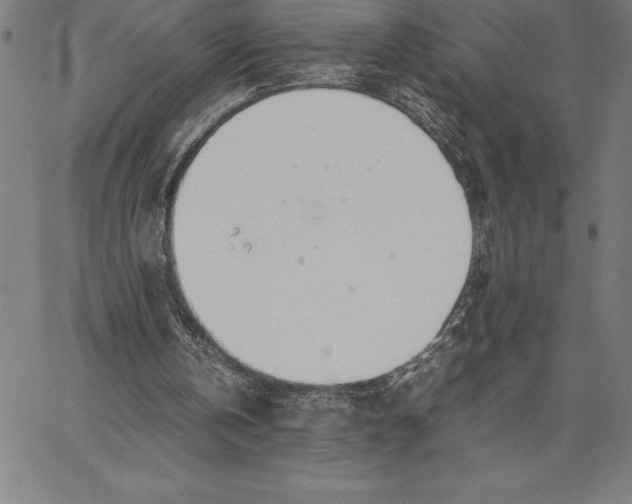 X0000067340146200604131734