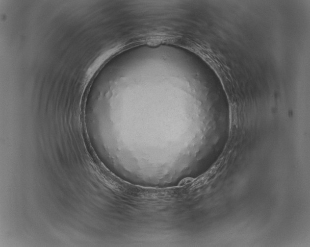 X0000067340147200604131734