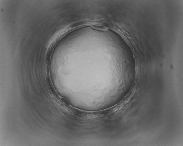 X0000067340149200604131734