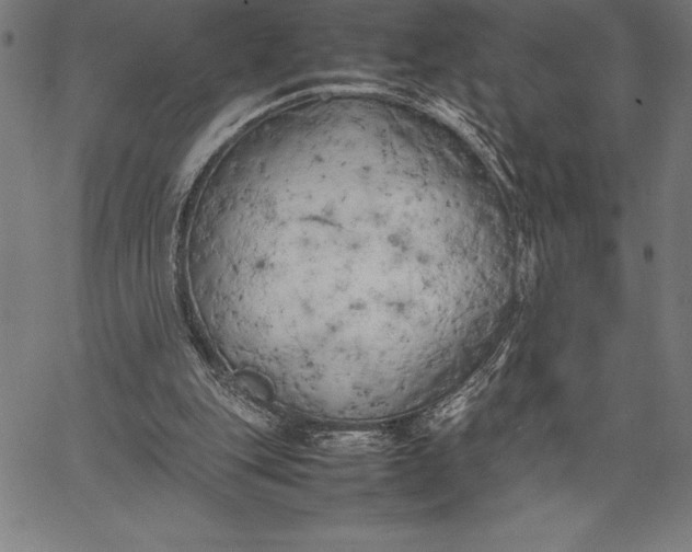 X0000067340151200604131734