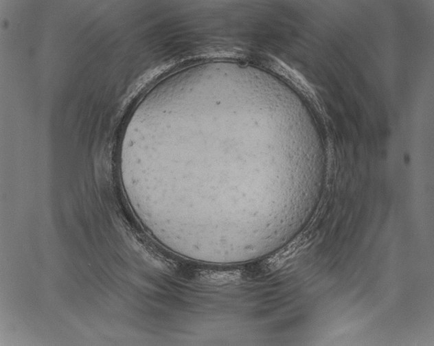 X0000067340155200604131734