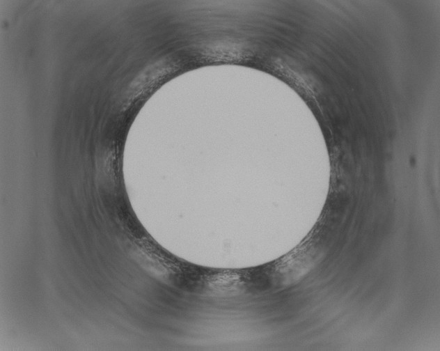 X0000067340162200604131734