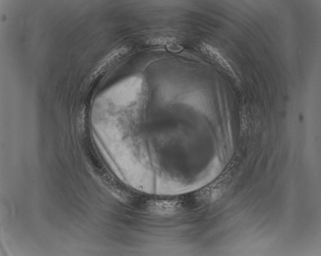 X0000067340163200604131734