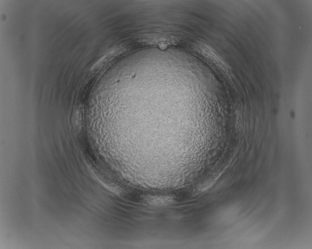 X0000067340165200604131734