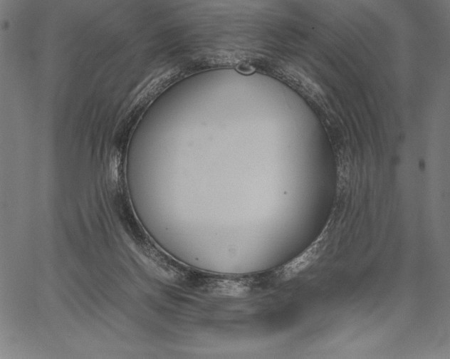 X0000067340166200604131734